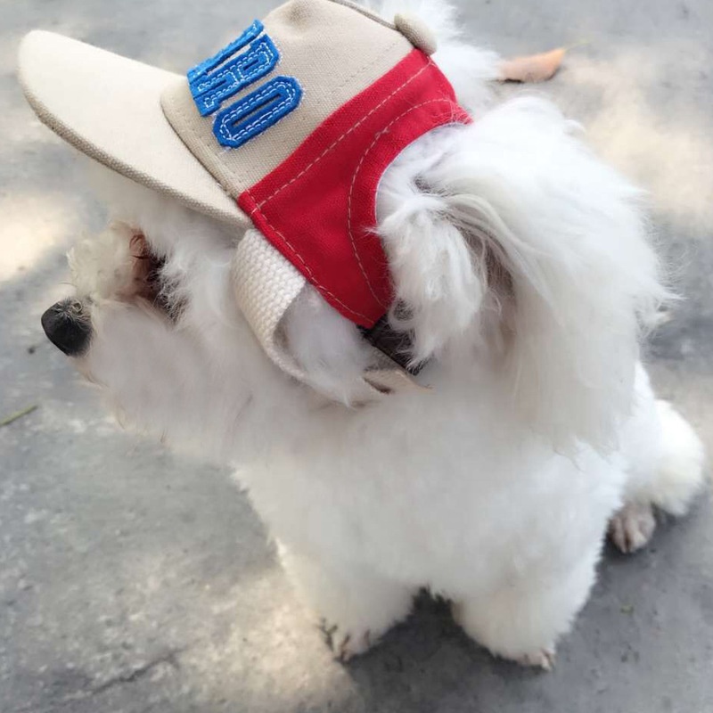 Ricamo Cane Mamma Cappello da  - Dad Hat Cotton recensione e prezzo